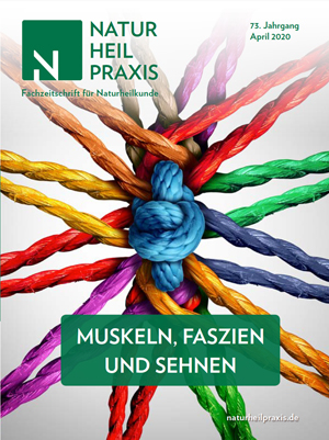 Titelbild